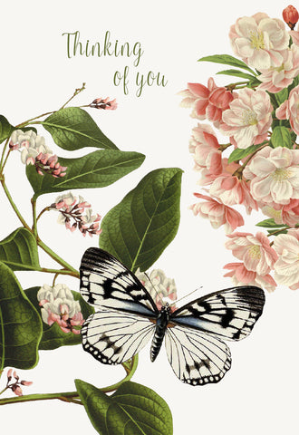 Thinking of you (flower butterfly) • A-2 Greeting Card
