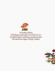 And reindeers really do know how to fly