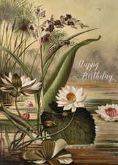 Happy Birthday (lotus)