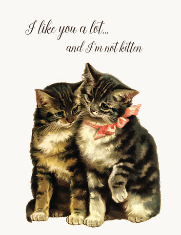 I like you a lot..and I'm not kitten