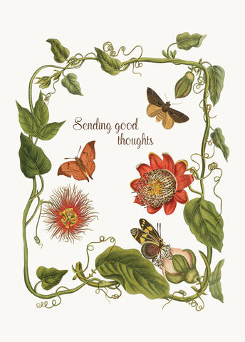 Sending good thoughts