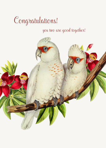 Congratulations! You Two Are Good Together • 5x7 Greeting Card