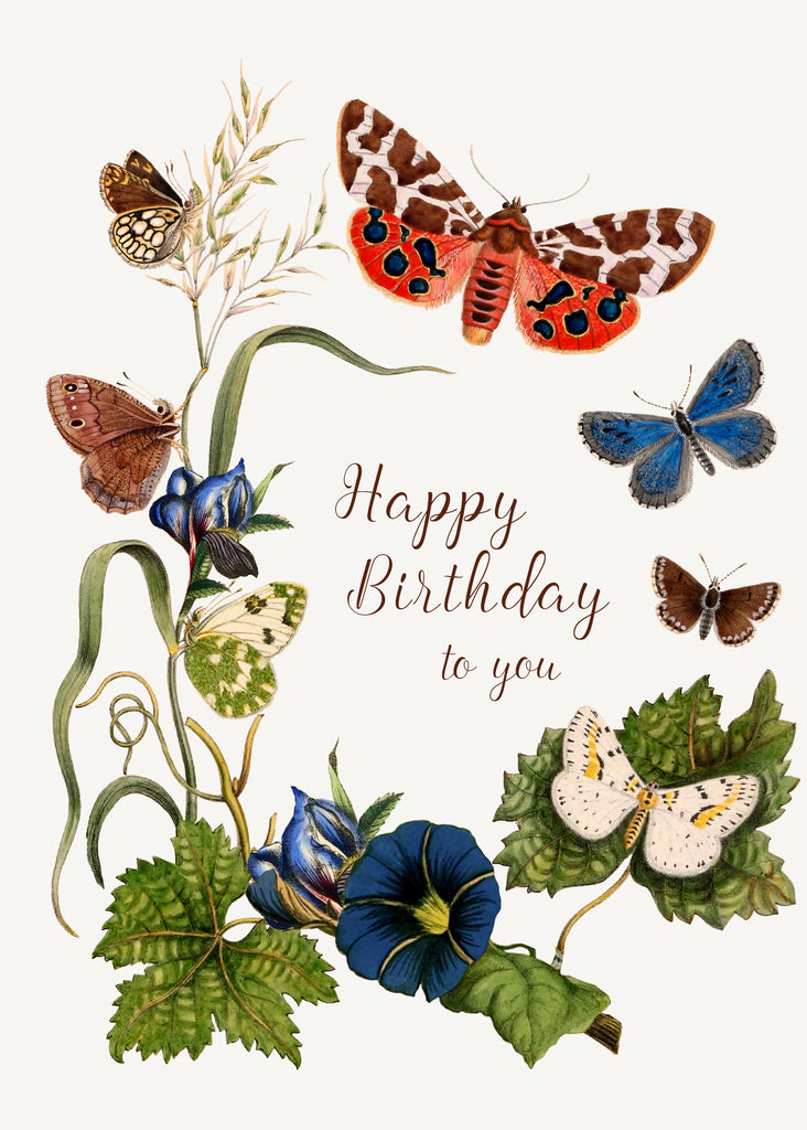 Happy Birthday to you • 5x7 Greeting Card