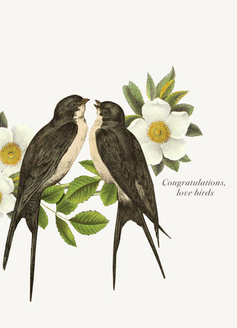 Congratulations Love Birds • 5x7 Greeting Card