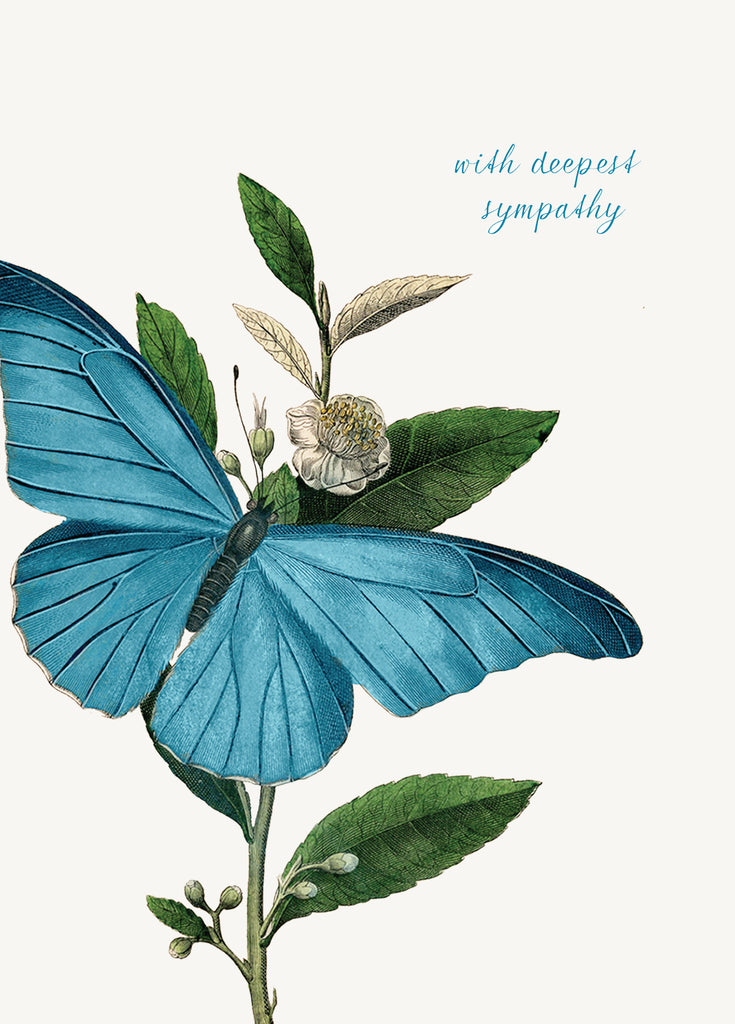 With Deepest Sympathy ( butterfly) • 5x7 Greeting Card