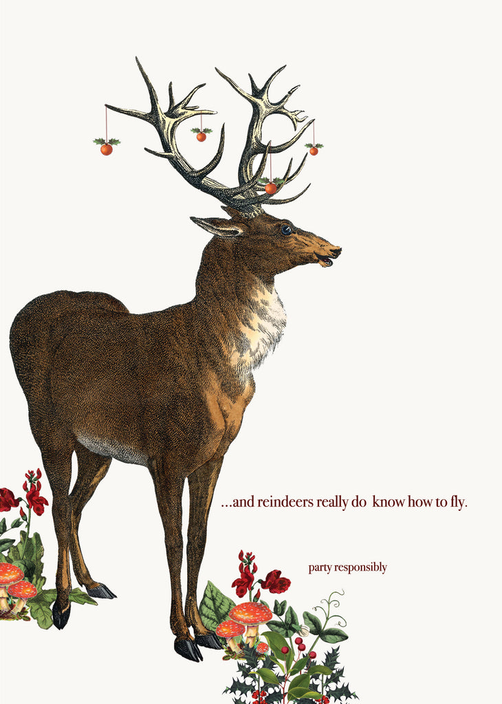 And Reindeers Really Do Know How To Fly • 5x7 Holiday Greeting Card