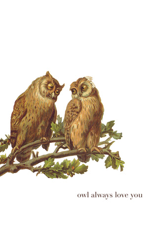 Owl Always Love You • 5x7 Greeting Card