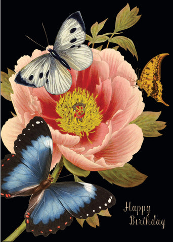 Happy Birthday (butterflies)• 5x7 Greeting Card