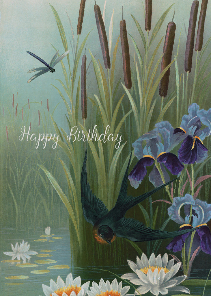 Happy Birthday (swallow) • 5x7 Greeting Card