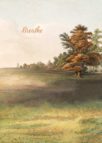 Breathe • 5x7 Greeting Card