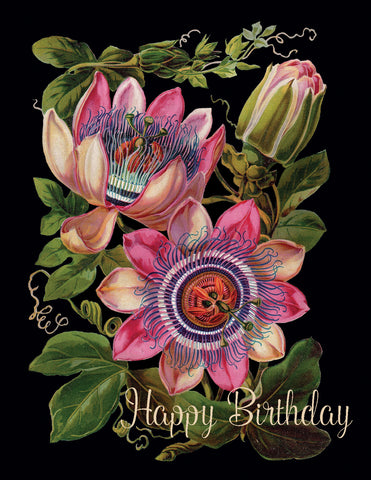 Happy Birthday (passionflower)  • A-2 Greeting Card