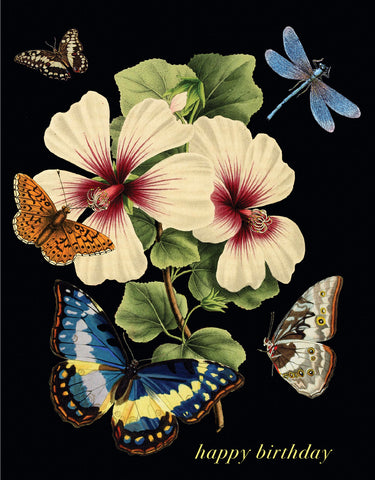 Happy Birthday (butterfly) • A-2 Greeting Card