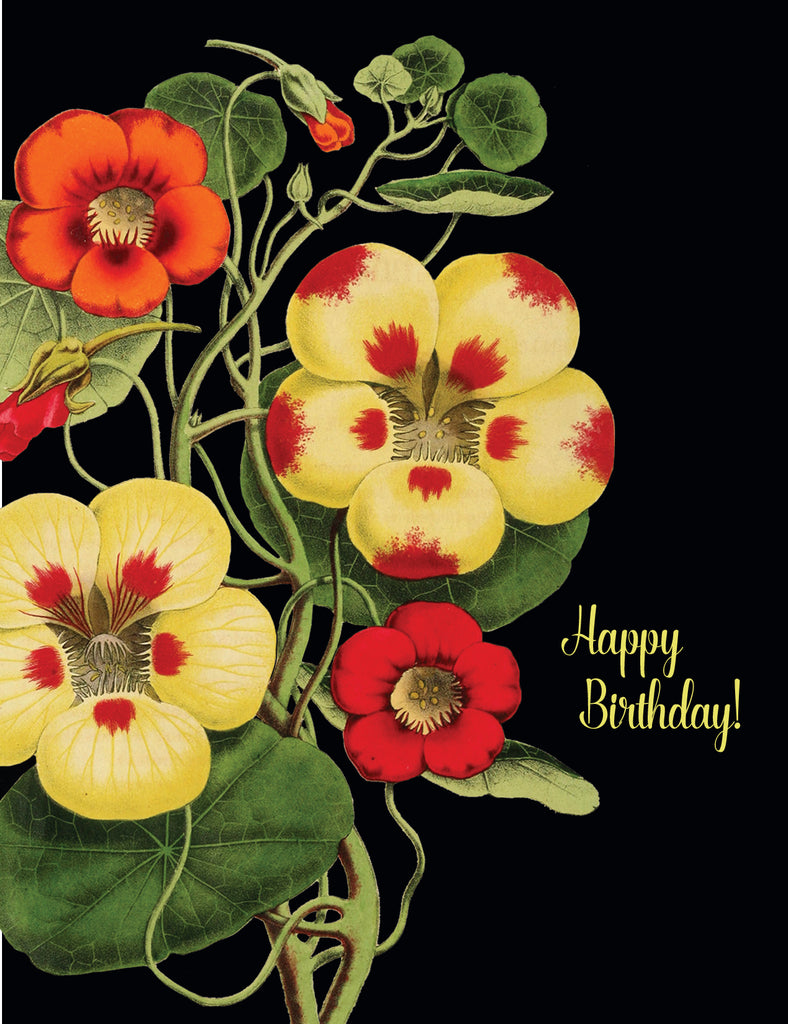 Happy Birthday (Nasturtium) • A-2 Greeting Card
