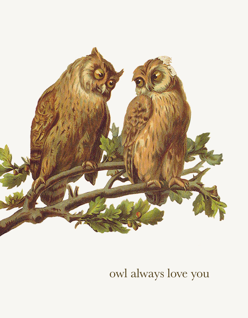 Owl Always Love You • A-2 Greeting Card