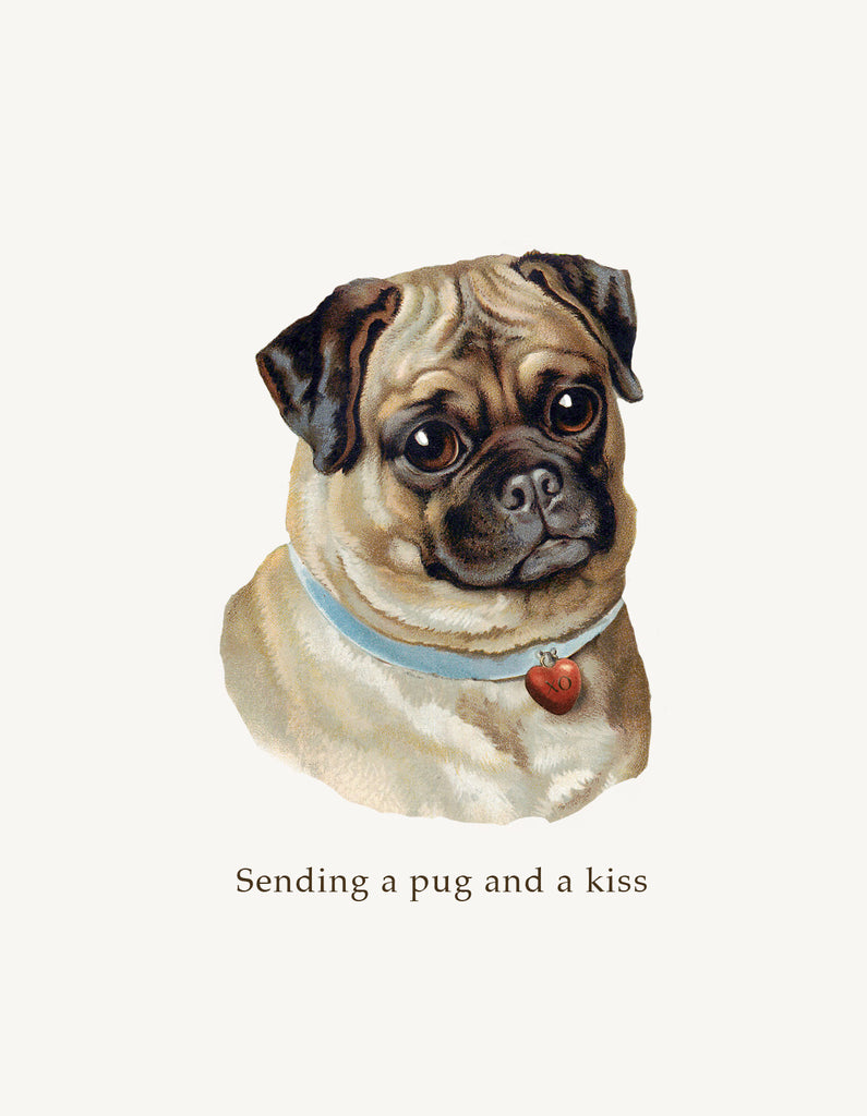 Sending A Pug And A Kiss • A-2 Greeting Card