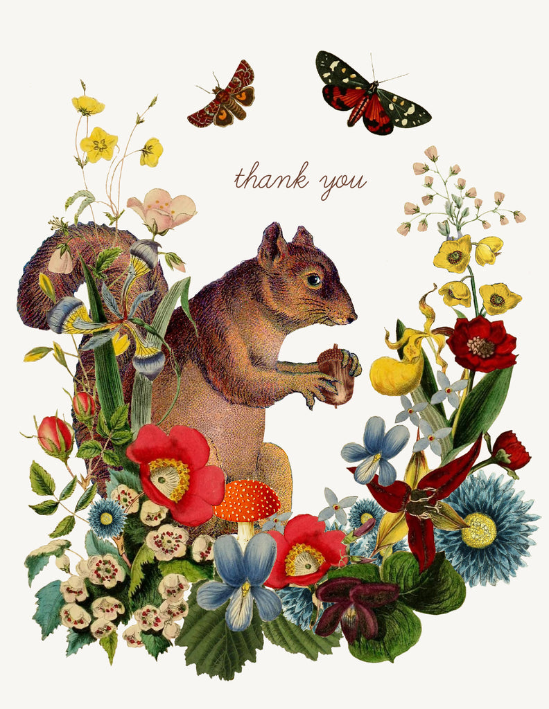 Thank You (squirrel)• A-2 Greeting Card