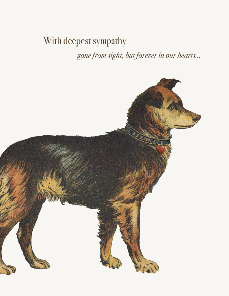 With Deepest Sympathy Dog • A-2 Greeting Card