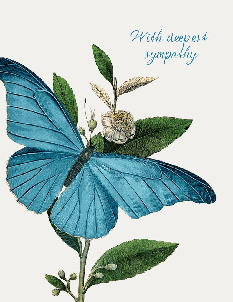 With deepest sympathy (butterfly)• A-2 Greeting Card