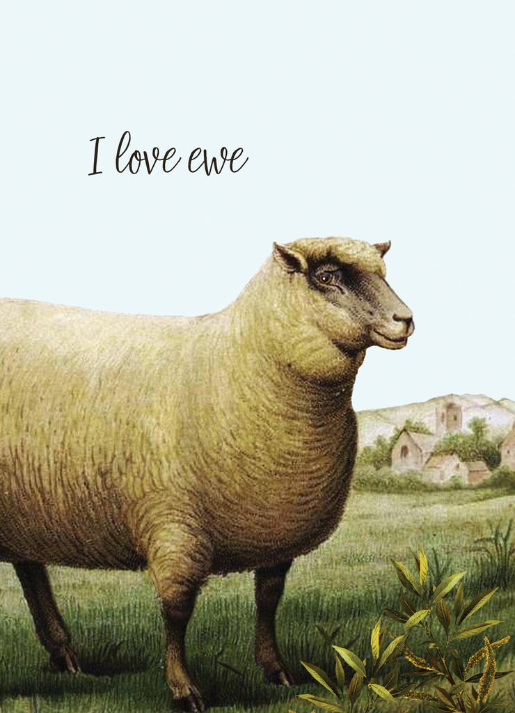 I Love Ewe • 5x7 Greeting Card