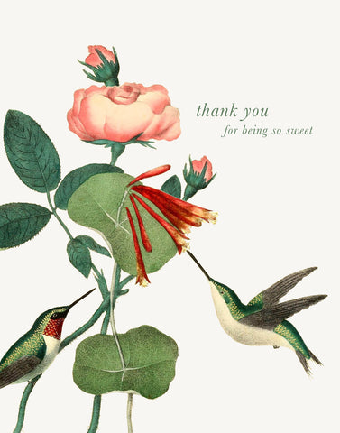 Thank You For Being So Sweet • A-2 Greeting Card