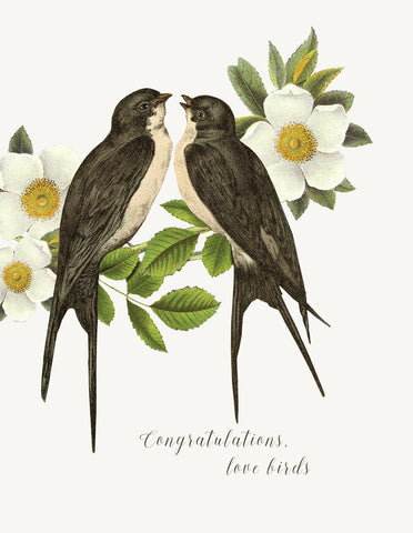 Congratulations Love Birds • A-2 Greeting Card