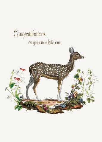 Congratulations On Your New Little One • 5x7 Greeting Card