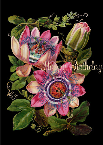 Happy Birthday (passionflower) • 5x7 Greeting Card