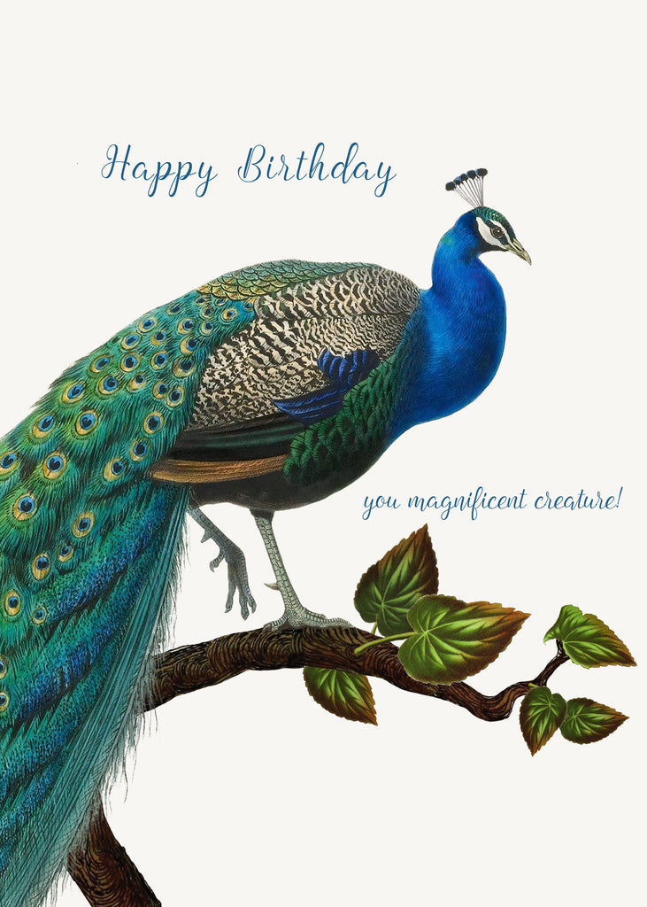 Happy Birthday You Magnificent Creature • 5x7 Greeting Card