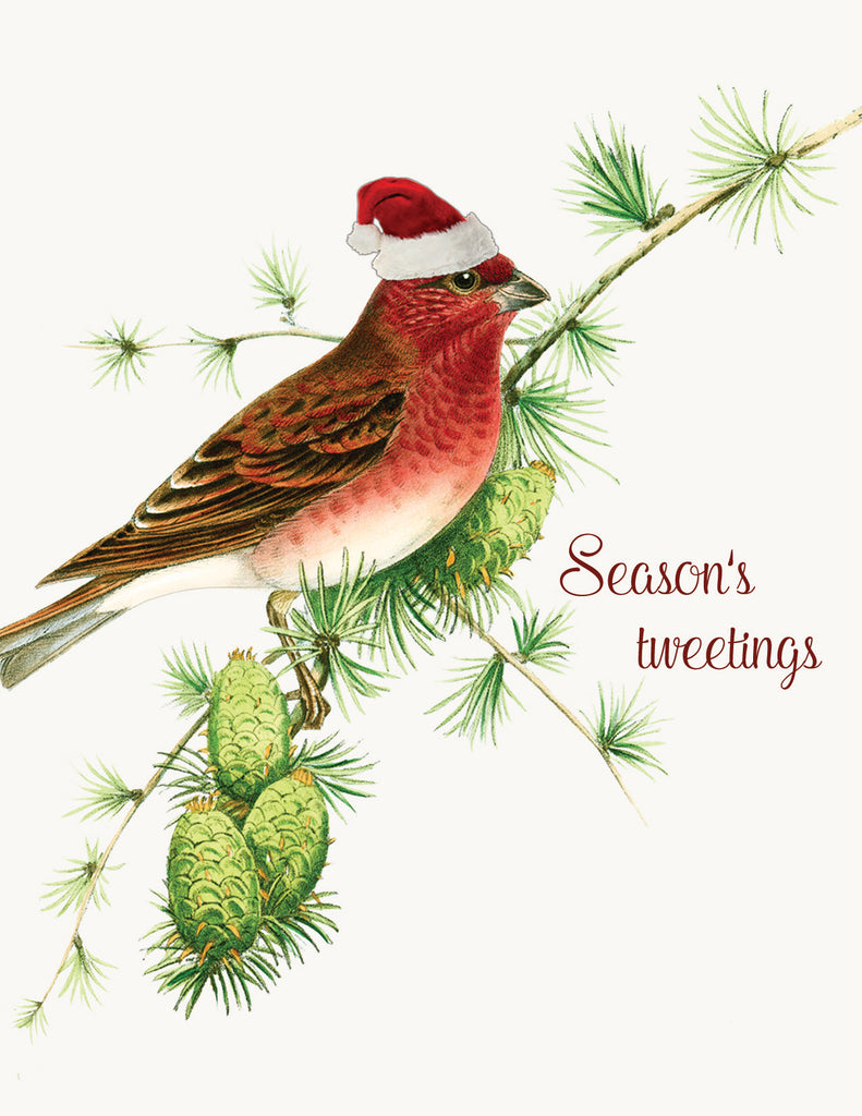 Season's Tweetings (Bird) • A-2 Holiday Greeting Card