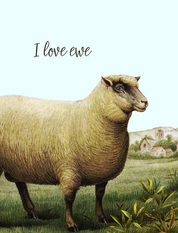 I Love Ewe • A-2 Greeting Card