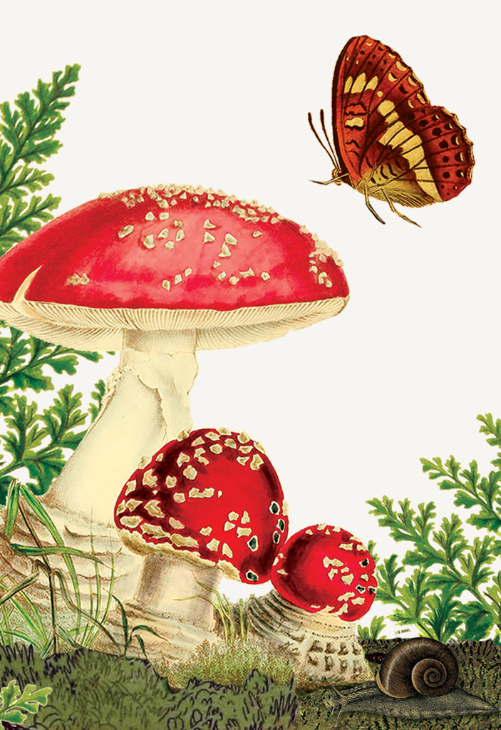Mushrooms • Mini Enclosure Card