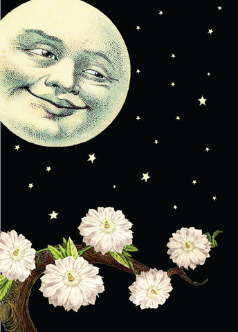 MOON-Mini Enclosure Card