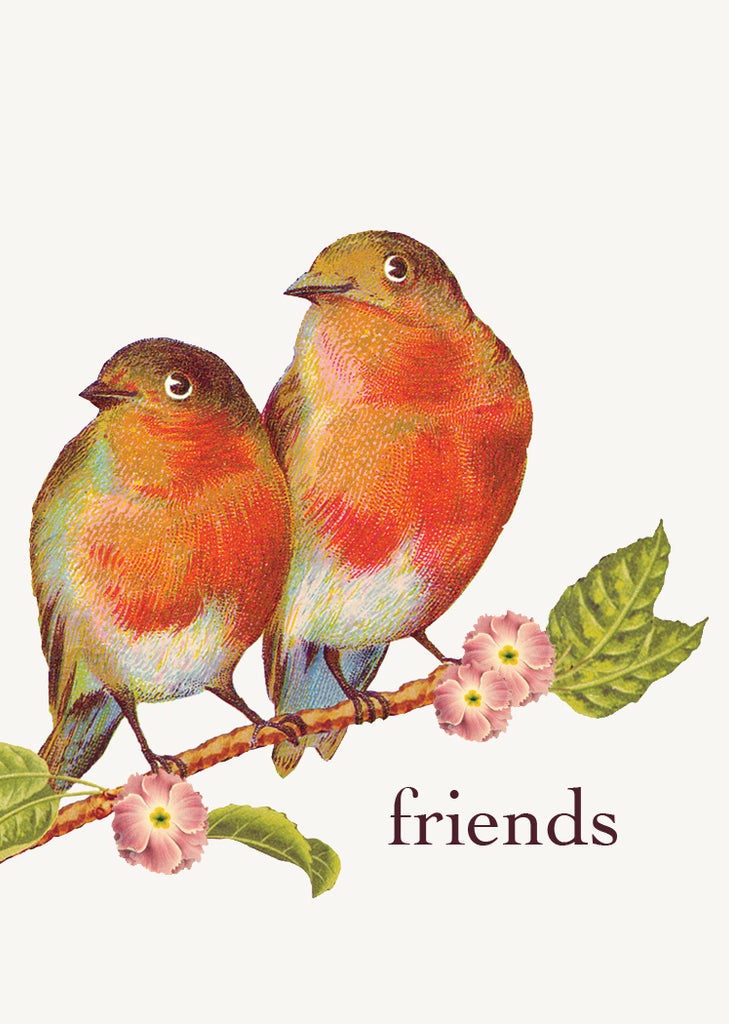 Friends Birds • Mini Enclosure Card