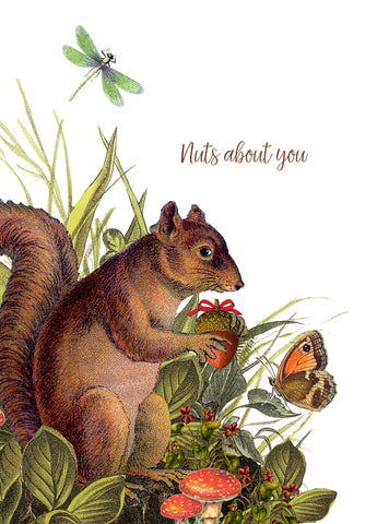 Nuts About You • 5x7 Greeting Card