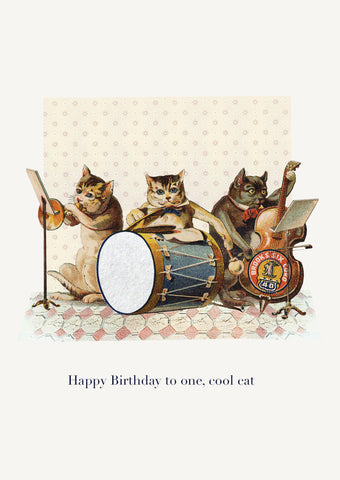 Happy Birthday to one cool cat• 5x7 Greeting Card