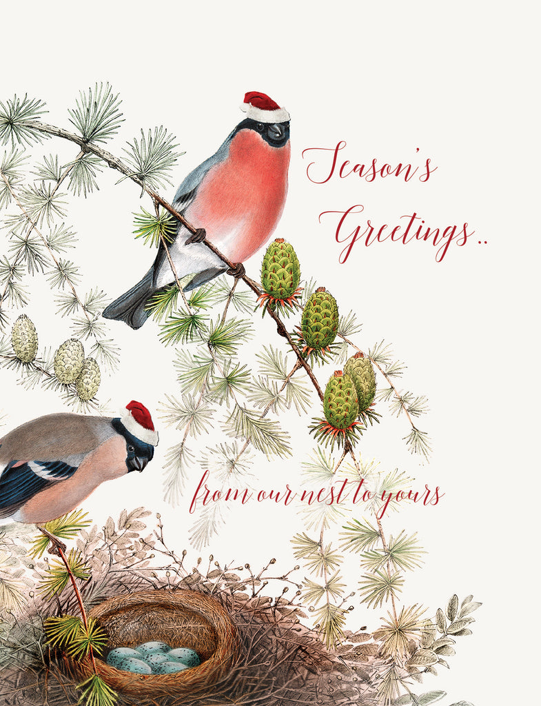 Season's greetings from our nest to yours •  A-2 Holiday Greeting Card