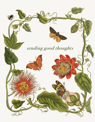 Sending Good Thoughts (leaves) • A-2 Greeting Card