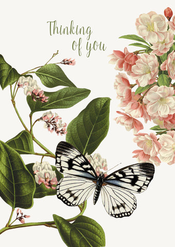 Thinking of you (flower butterfly) • 5x7 Greeting Card