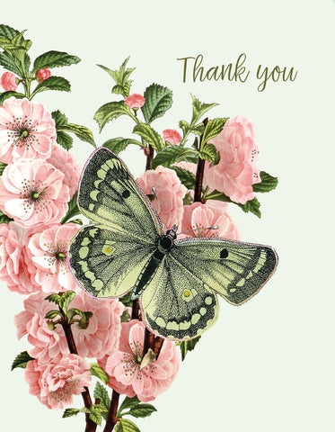 Thank You (Green Butterfly) • A-2 Greeting Card