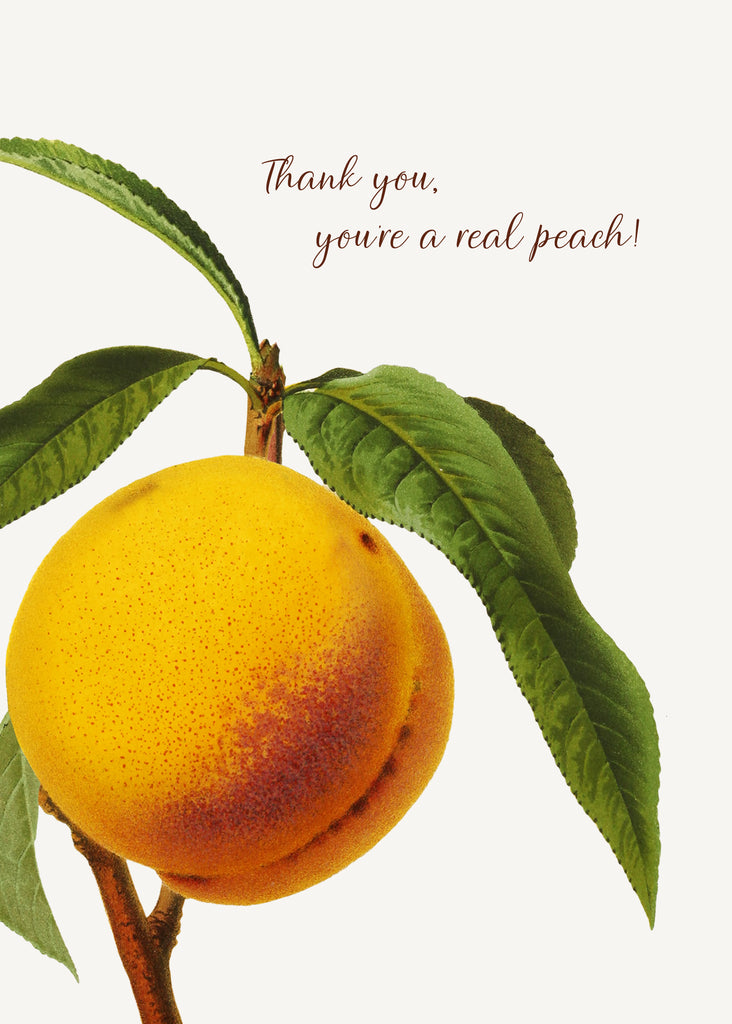 Thank you, you're a real peach• 5x7 Greeting Card