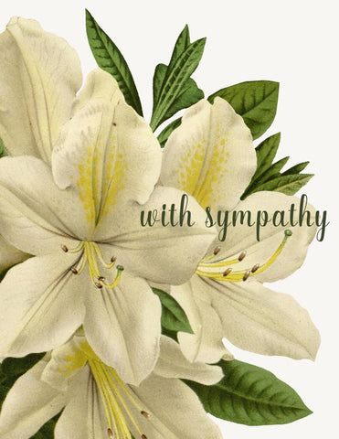 With Sympathy • A-2 Greeting Card