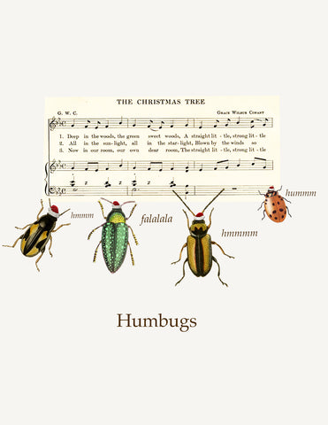 Humbugs • A-2 Holiday Greeting Card