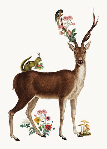 Deer• Mini Enclosure Card