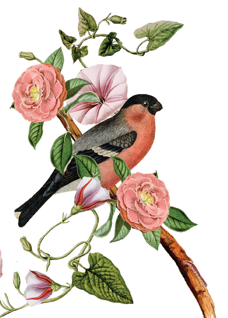 Pink Bird • Mini Enclosure Card